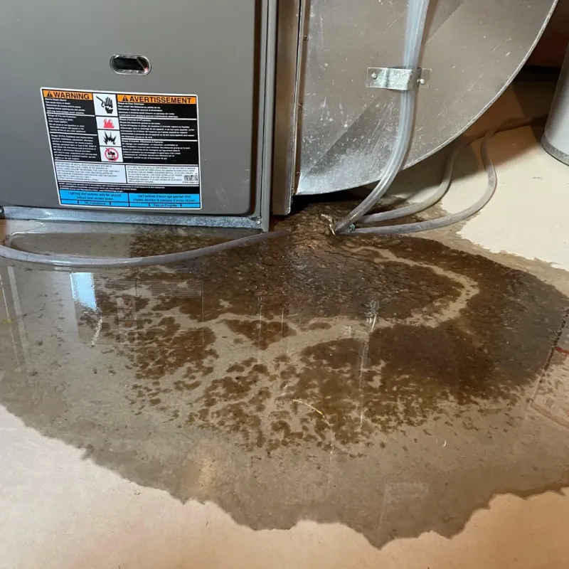 Appliance Leak Cleanup in San Carlos, CA